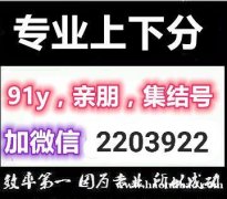 91y游戏币上分下分退分回收