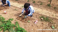 深圳周边幼儿园适合户外研学的地方