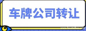 转让投资类公司带车指标文化类公司带6个指标